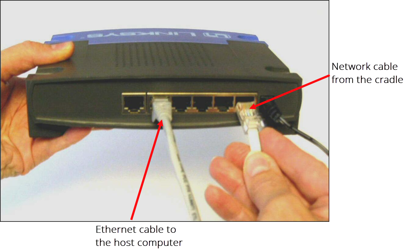 Network and Ethernet cable connected to the back of a router